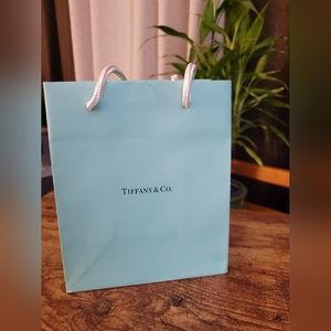 Tiffanys gift bag